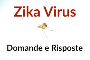 Immagine illustrativa: virus zika